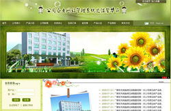 嵊州專業網站建設與淘寶網店裝修一站式服務